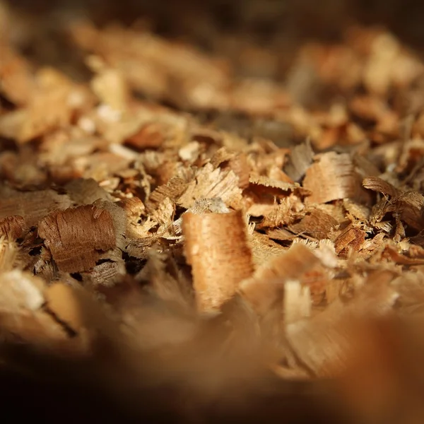 赌博游戏棋牌游戏